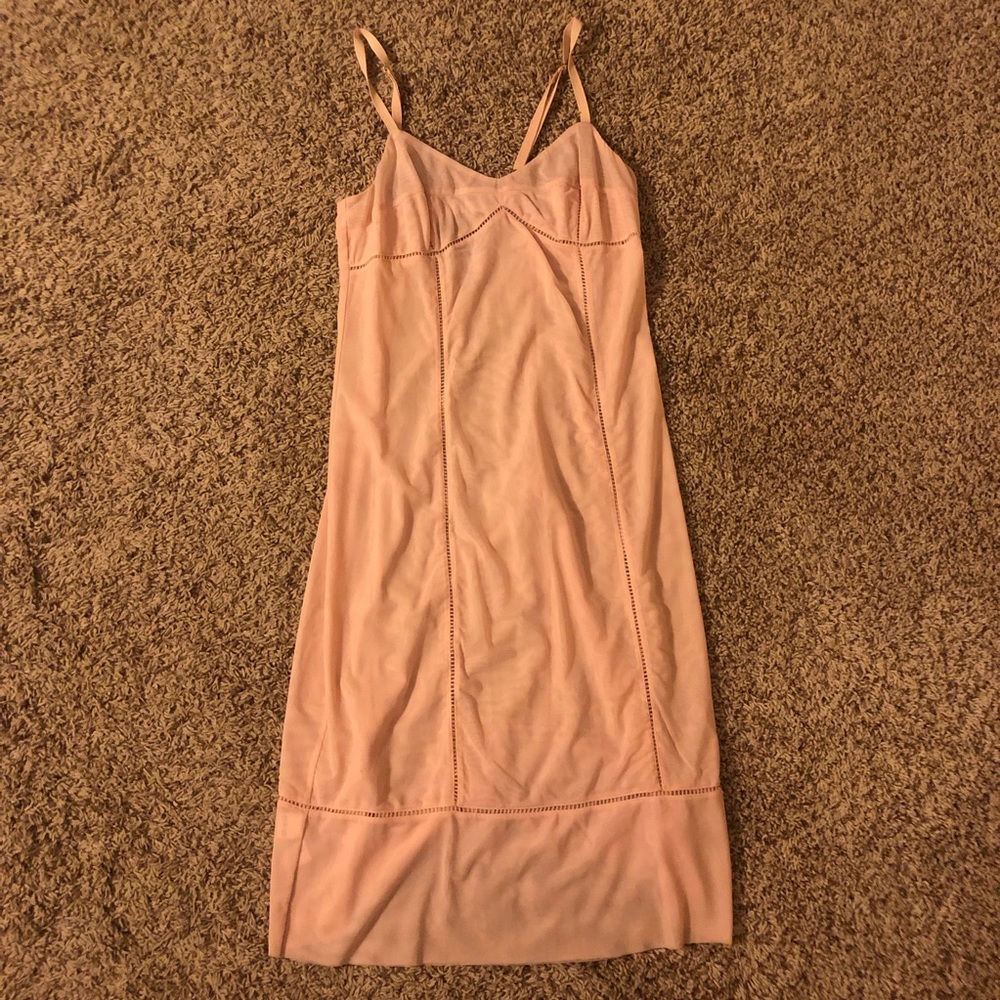 BCBG pink runway slip dress sheer!